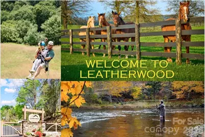 675 Cabin Ridge Road, Ferguson, NC 28624 - Photo 5