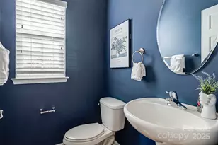 447 Leaf Arbor Ct, Lake Wylie, SC 29710 - Photo 11