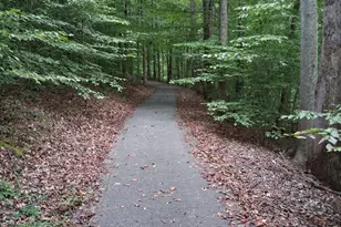 136 Kerr Walk Dr, Statesville, NC 28677 - Photo 9