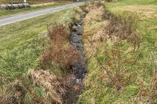 456 Windy Gap Rd, Mars Hill, NC 28754 - Photo 47