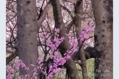 3333 Roberta Road, Concord, NC 28027 - Photo 41