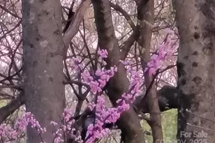 3333 Roberta Rd, Concord, NC 28027 - Photo 41