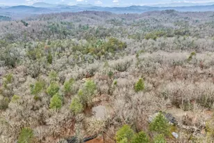 38 Renea Dr, Brevard, NC 28712 - Photo 39