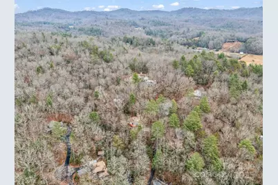 38 Renea Drive, Brevard, NC 28712 - Photo 37