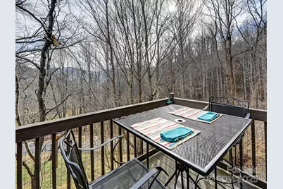 90 Davidson Gap Road, Leicester, NC 28748 - Photo 5