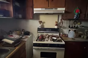 133 Oral Bessie Ln, Rockingham, NC 28379 - Photo 9