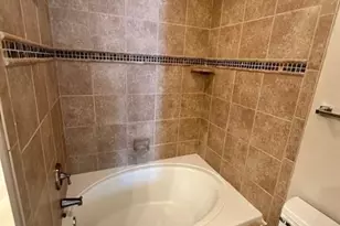 18731 Vineyard Point Ln, Cornelius, NC 28031 - Photo 11