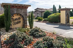 10 Pacifico Dr, Asheville, NC 28806 - Photo 37