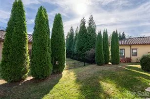 10 Pacifico Dr, Asheville, NC 28806 - Photo 35