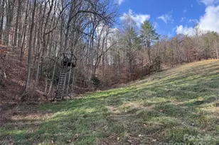 55 & 119 Webb Dr, Marshall, NC 28753 - Photo 37