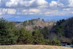 55 & 119 Webb Dr, Marshall, NC 28753 - Photo 13