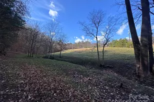 55 & 119 Webb Dr, Marshall, NC 28753 - Photo 35