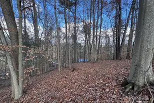 55 & 119 Webb Dr, Marshall, NC 28753 - Photo 17