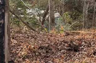 2503 Messer St, Valdese, NC 28690 - Photo 23