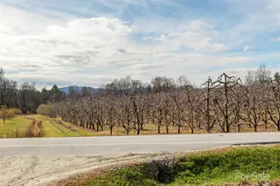 5057 Howard Gap Rd, Flat Rock, NC 28731 - Photo 19