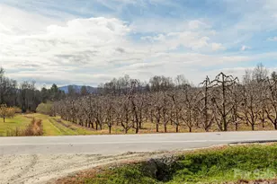 5057 Howard Gap Rd, Flat Rock, NC 28731 - Photo 25