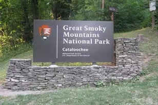 860 Pless Underwood Rd, Maggie Valley, NC 28751 - Photo 41