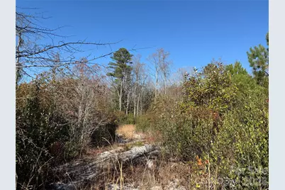 164 Haines Road, Jackson Springs, NC 27281 - Photo 5