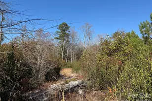 164 Haines Rd, Jackson Springs, NC 27281 - Photo 5