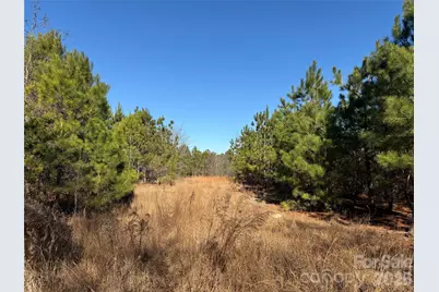 164 Haines Road, Jackson Springs, NC 27281 - Photo 21