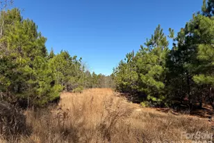 164 Haines Rd, Jackson Springs, NC 27281 - Photo 21