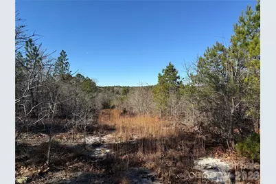 164 Haines Road, Jackson Springs, NC 27281 - Photo 25