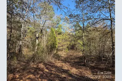 164 Haines Road, Jackson Springs, NC 27281 - Photo 11