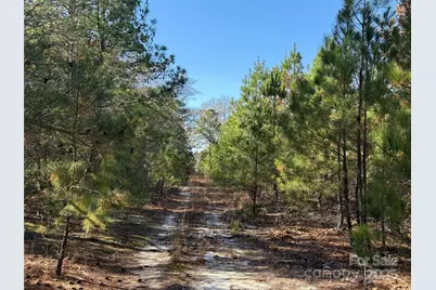 164 Haines Road, Jackson Springs, NC 27281 - Photo 5