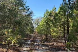 164 Haines Rd, Jackson Springs, NC 27281 - Photo 5