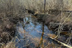 164 Haines Rd, Jackson Springs, NC 27281 - Photo 19