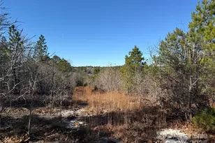 164 Haines Rd, Jackson Springs, NC 27281 - Photo 19