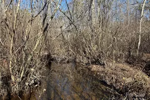 164 Haines Rd, Jackson Springs, NC 27281 - Photo 13