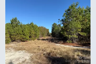 164 Haines Road, Jackson Springs, NC 27281 - Photo 13