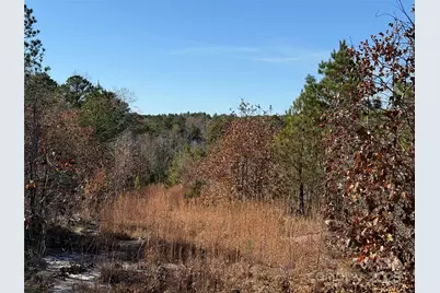 164 Haines Road, Jackson Springs, NC 27281 - Photo 7