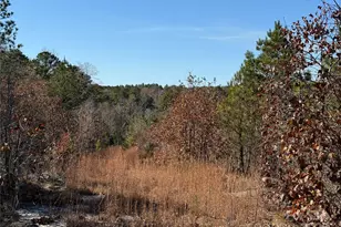 164 Haines Rd, Jackson Springs, NC 27281 - Photo 7