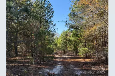 164 Haines Road, Jackson Springs, NC 27281 - Photo 3