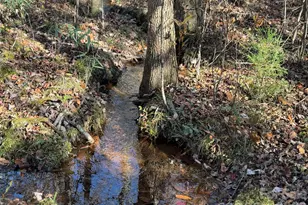 164 Haines Rd, Jackson Springs, NC 27281 - Photo 17