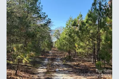 164 Haines Road, Jackson Springs, NC 27281 - Photo 7