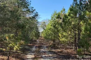 164 Haines Rd, Jackson Springs, NC 27281 - Photo 7