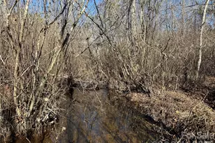 164 Haines Rd, Jackson Springs, NC 27281 - Photo 15