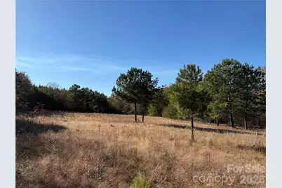 164 Haines Road, Jackson Springs, NC 27281 - Photo 11