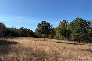 164 Haines Rd, Jackson Springs, NC 27281 - Photo 11