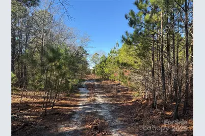 164 Haines Road, Jackson Springs, NC 27281 - Photo 15
