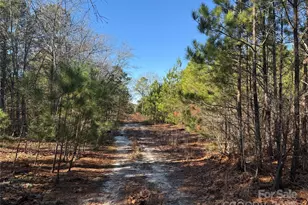 164 Haines Rd, Jackson Springs, NC 27281 - Photo 15