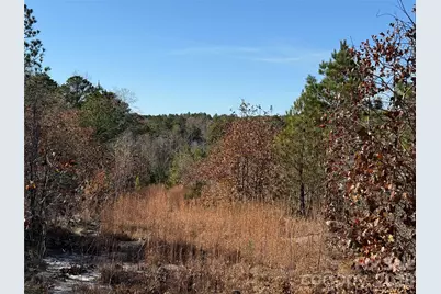 164 Haines Road, Jackson Springs, NC 27281 - Photo 9