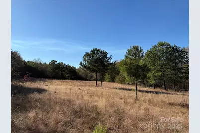 164 Haines Road, Jackson Springs, NC 27281 - Photo 9