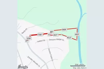 0000 Sandy Ford Road, Mount Holly, NC 28120 - Photo 3