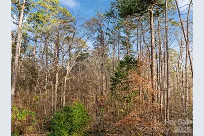 0000 Sandy Ford Road, Mount Holly, NC 28120 - Photo 9