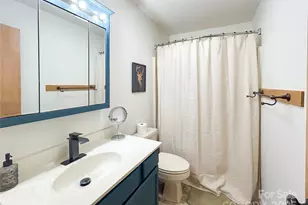 114 Spruce Hollow Rd, Beech Mountain, NC 28604 - Photo 17