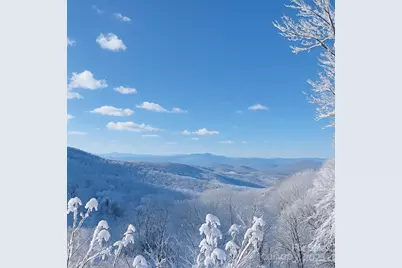 114 Spruce Hollow Road, Beech Mountain, NC 28604 - Photo 43